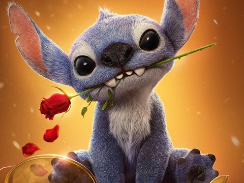 Stitch
