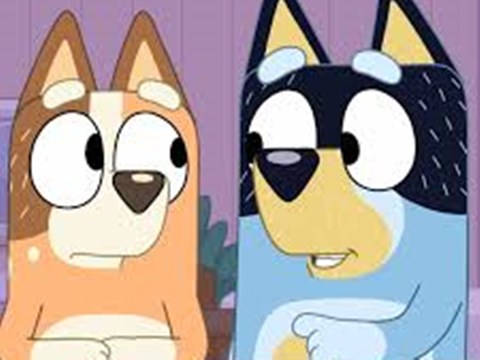 Bluey